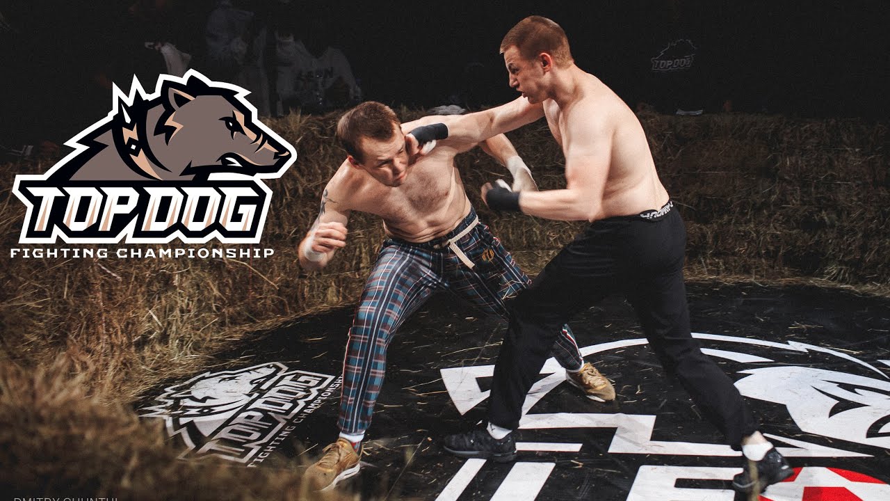 Тима "Золотой" Мусаев vs. Иван "Бульдозер" Савин/ бой на голых кулаках/ TDFC 3 background