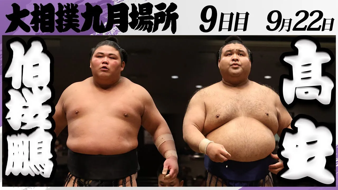 大相撲 髙安ー伯桜鵬<令和7年九月場所・9日目>SUMO