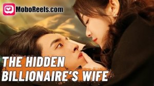 the billionaire's hidden wife