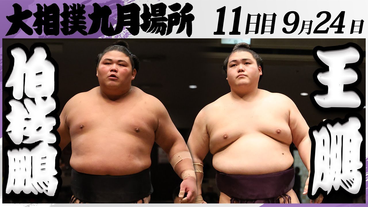 大相撲 伯桜鵬ー王鵬<令和7年九月場所・11日目>SUMO