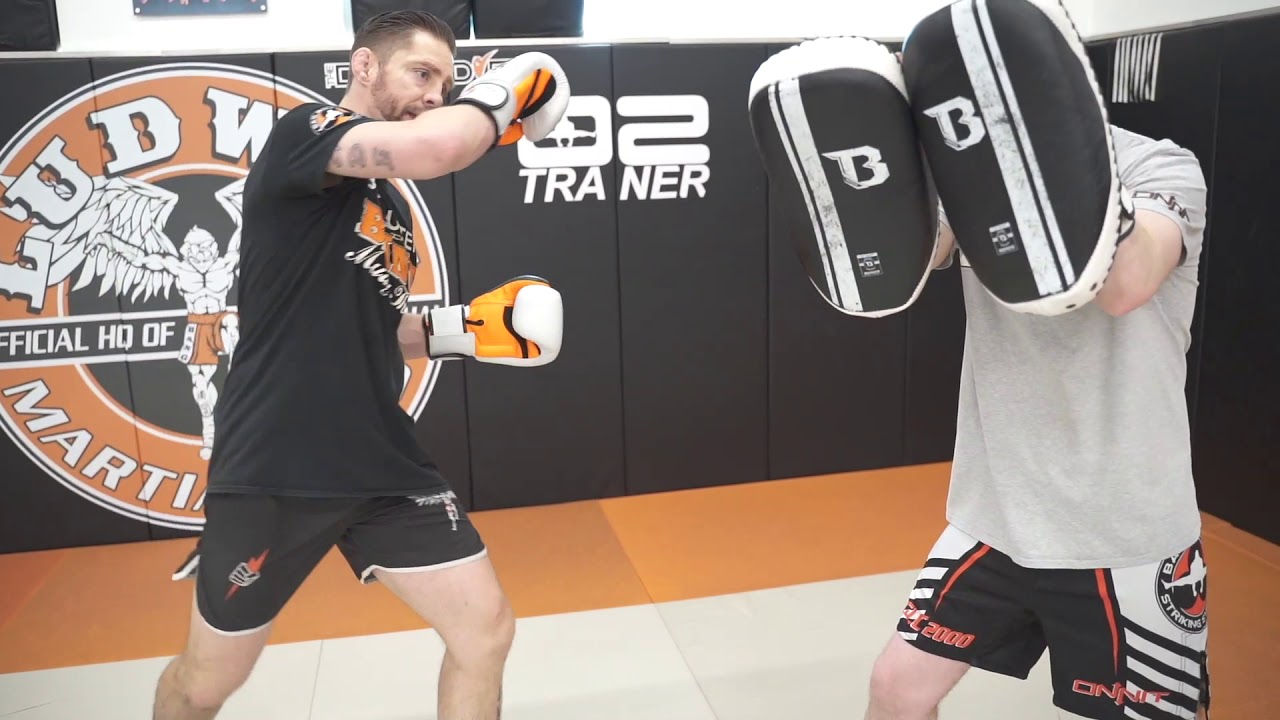 1 Liver High on the Pads background