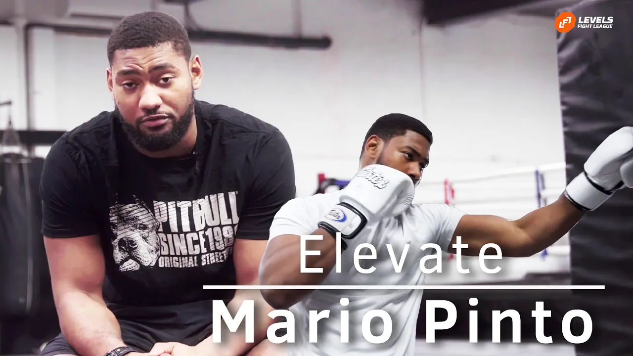 Elevate: Mario Pinto | LFL 11 backdrop