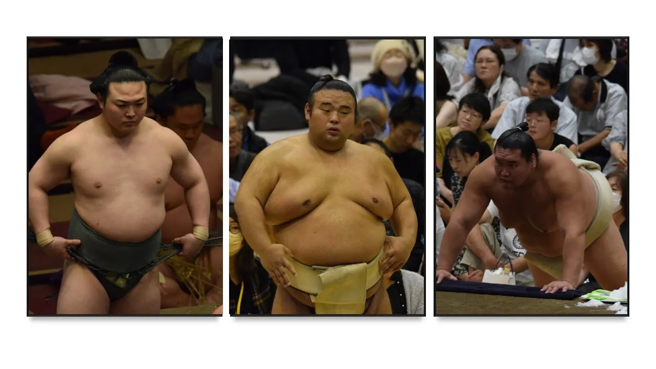 Terunofuji & Takakeisho IN for January + other Sumo News (Jan 11th)