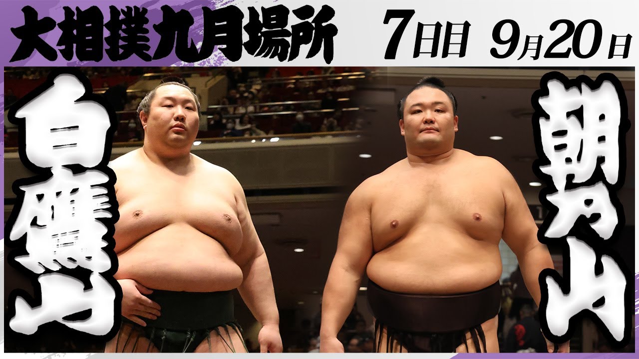 大相撲 白鷹山(高田川部屋)ー朝乃山(高砂部屋)<令和7年九月場所・7日目>SUMO