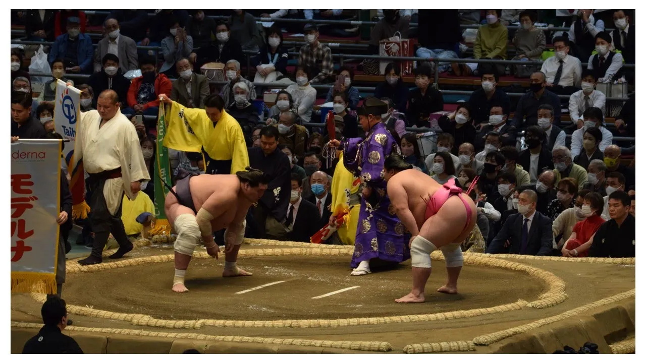 Terunofuji learns his first opponent + will Hakuoho & Enho return? (Sumo News, Jan 12th)