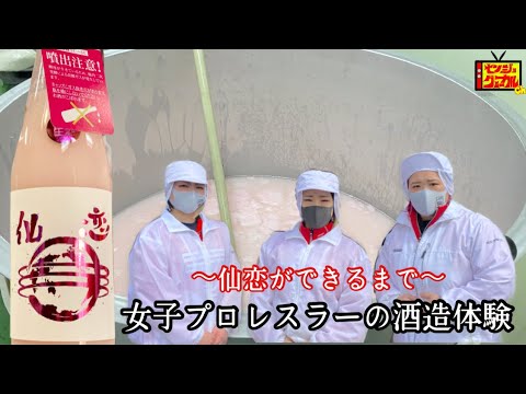 【酒造体験】女子プロレスラーの酒造体験!初の大物ゲスト!! background