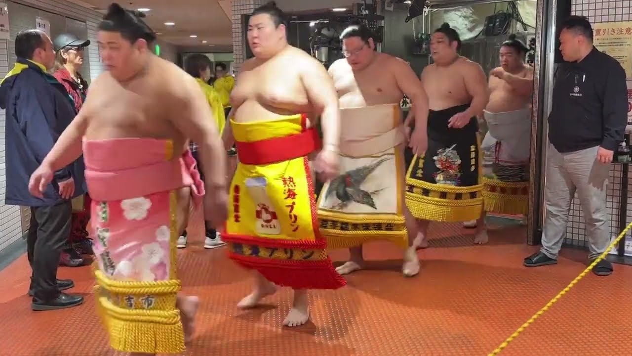土俵入り前後の力士たち 優勝争いの高安など 人気力士が続々と❗️大栄翔 白熊 若元春 隆の勝 【大相撲令和7年3月場所】13日目 2025/3/21 dohyoiri before & after background