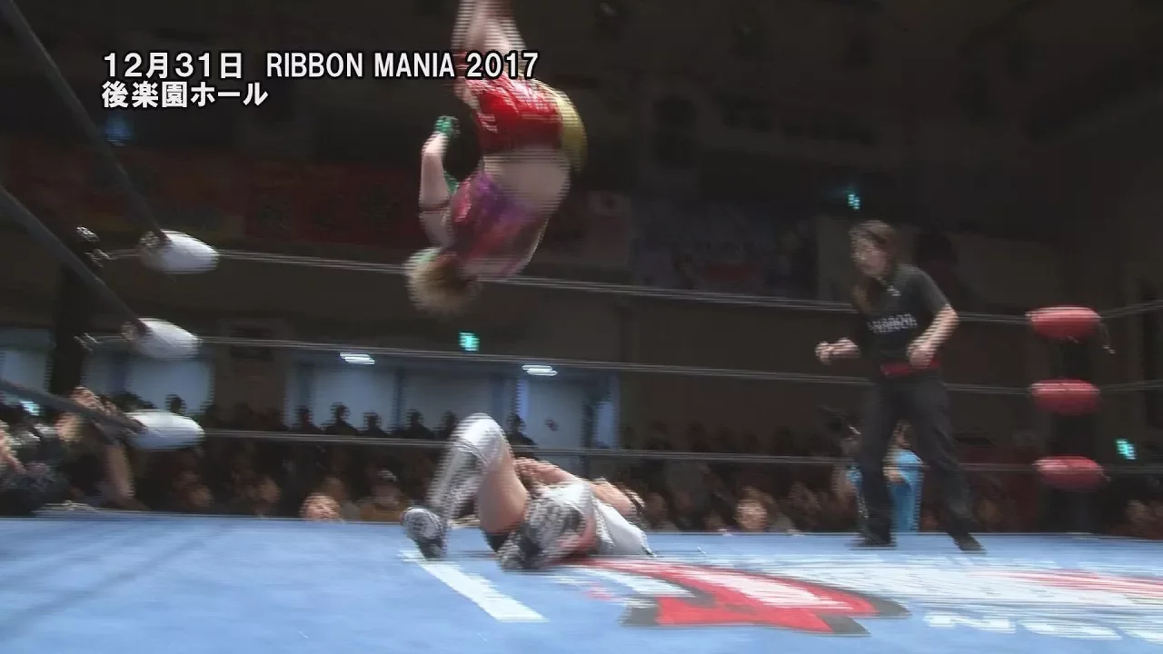 RIBBON MANIA 2017(2017/12/31)Digest