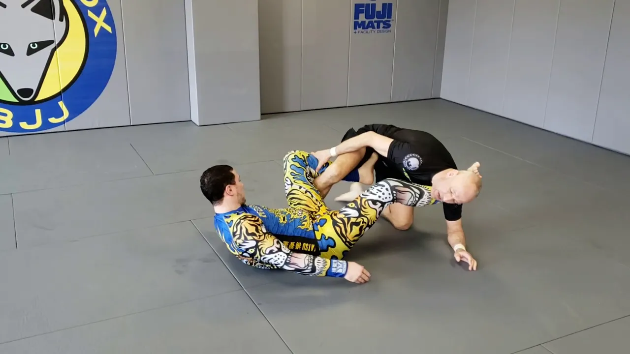 Training with Silver Fox Part 2: Rolling