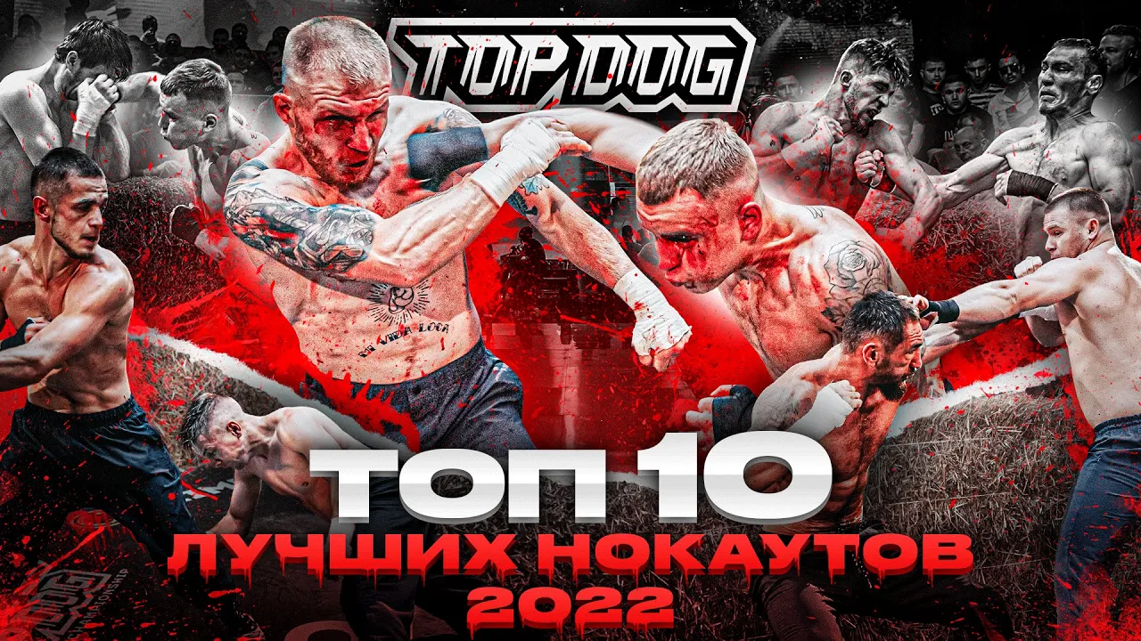 ТОП 10 НОКАУТОВ В TOP DOG | 2022 background