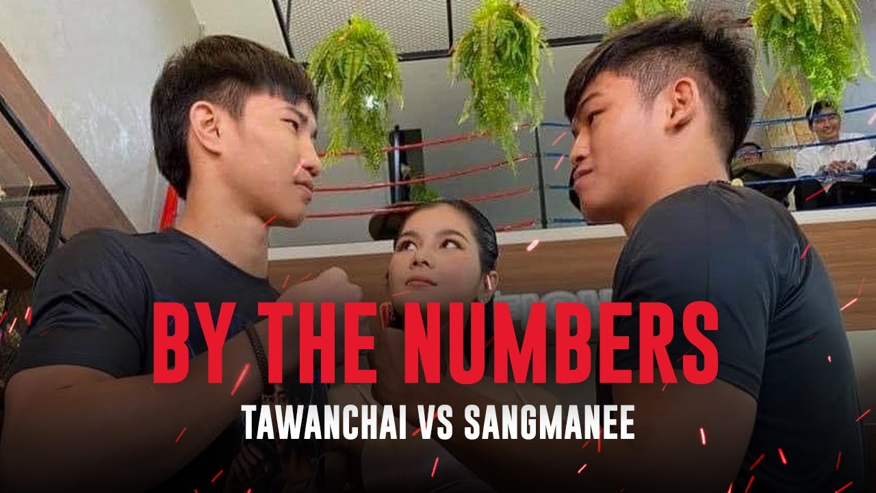 Tawanchai vs Sangmanee | By The Numbers | Fight Record Preview