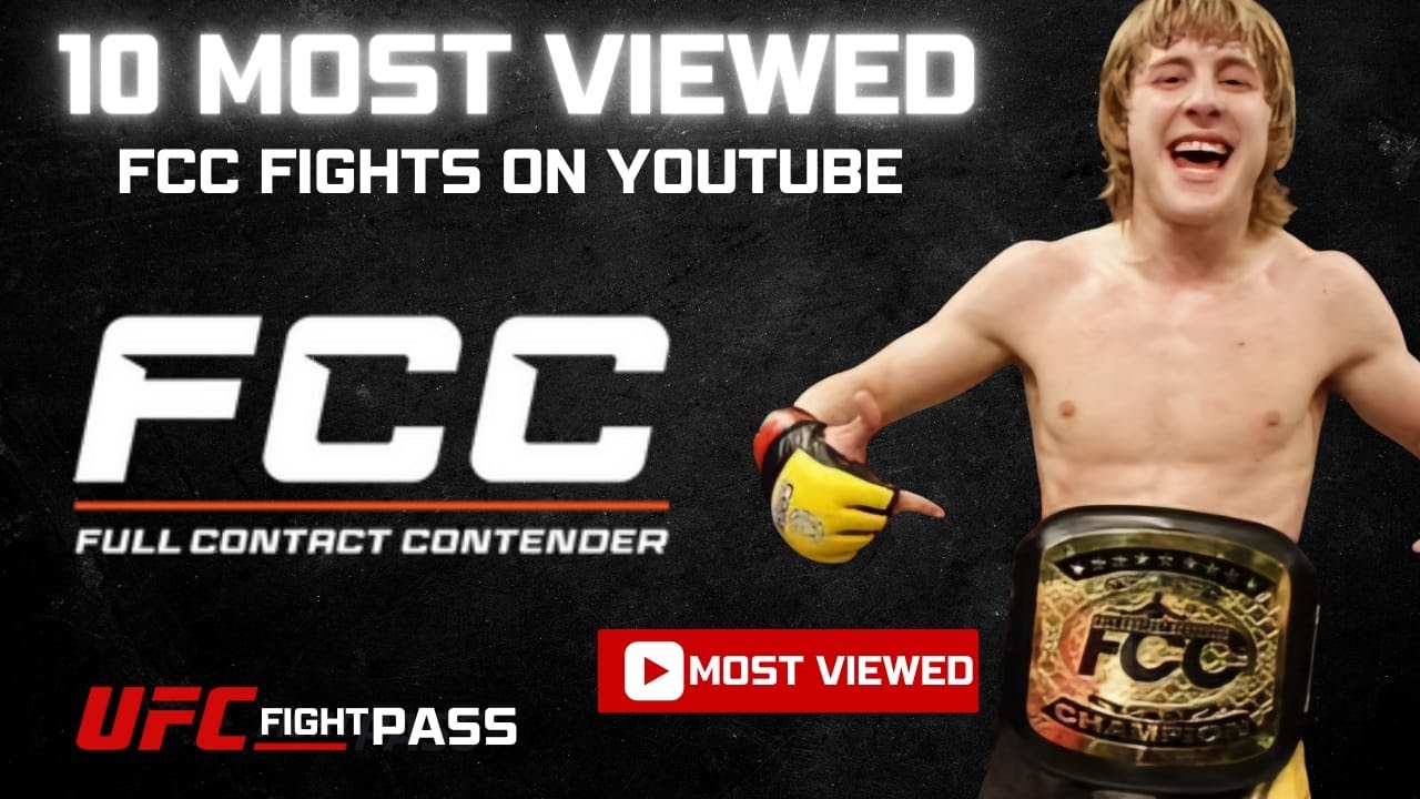 10 Most Viewed Fights