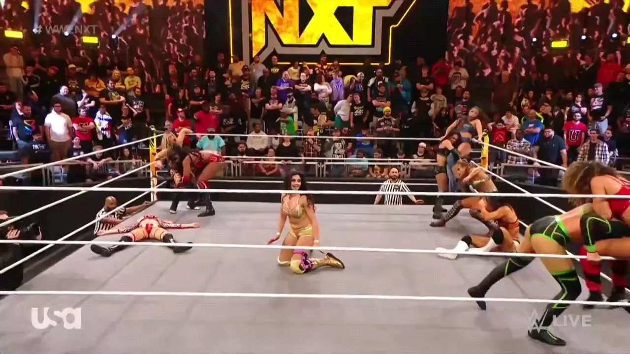 NXT Women's Championship Contender Battle Royal 2/2 background