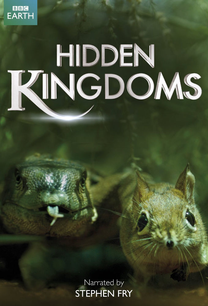 Hidden Kingdoms [Ukrainian] poster