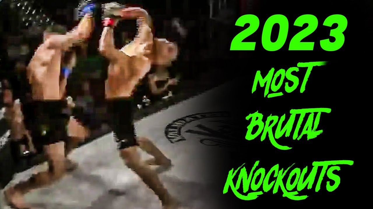 The Most Brutal Knockouts Of 2023 | UFC, MMA, Kickboxing & Bare Knuckle
