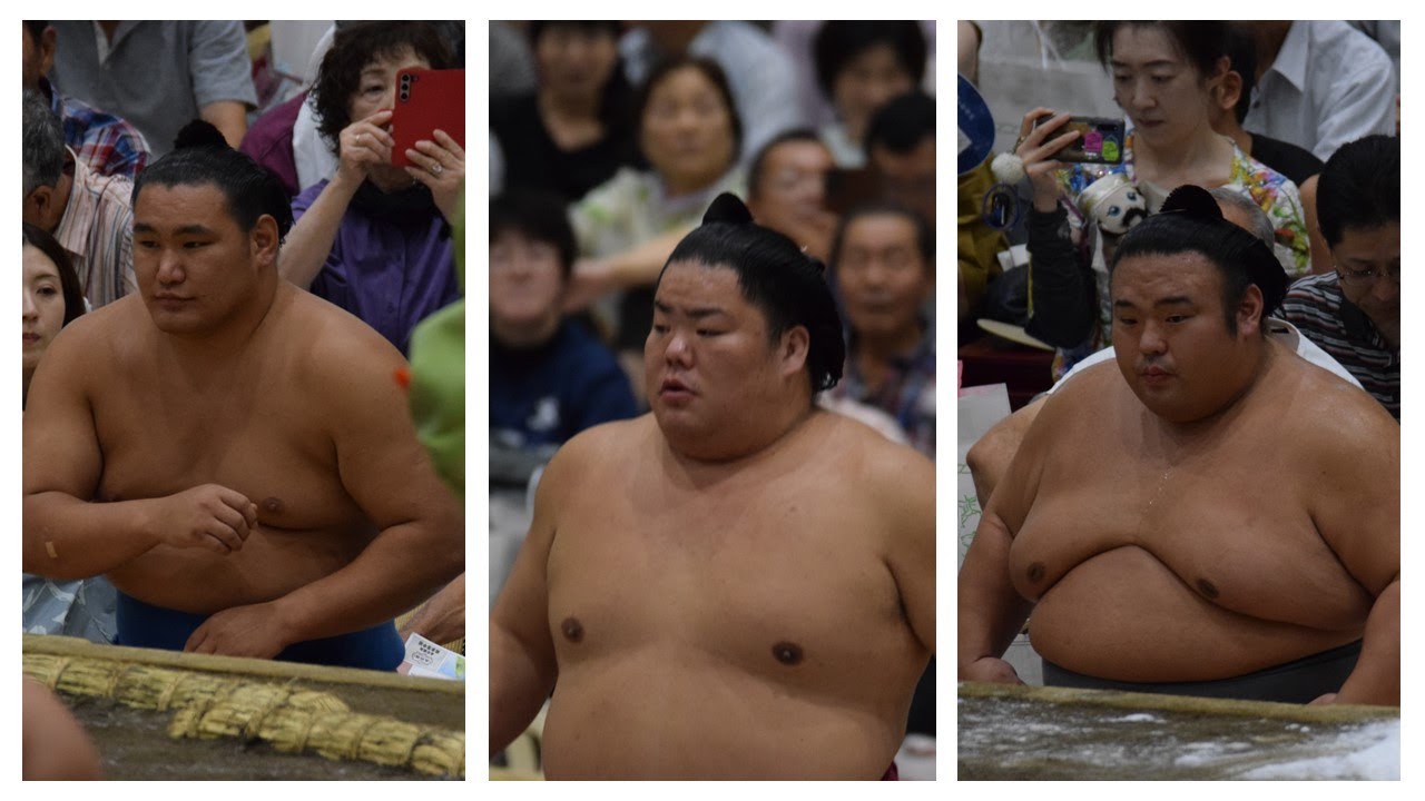 Training Reports: Hoshoryu, Kirishima, Asanoyama, Takakeisho and more! (Nov 1st) background