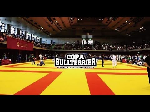 COPA BULLTERRIER 2024 / MAT 1 background