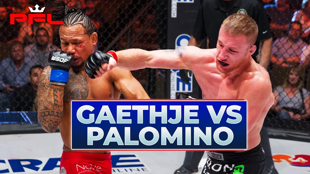 Justin "The Highlight" Gaethje v Luis "Baboon" Palomino! | Both Fights From The WSOF! | The Rivalry