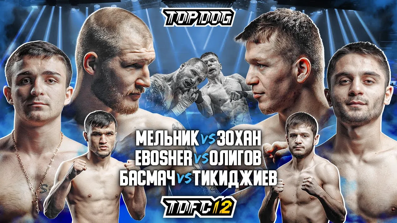 Мельник vs. Зохан, Олигов vs. Терехов, Басмач vs. Южный | TDFC12 background