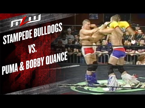 Stampede Bulldogs vs Puma & Bobby Quance background