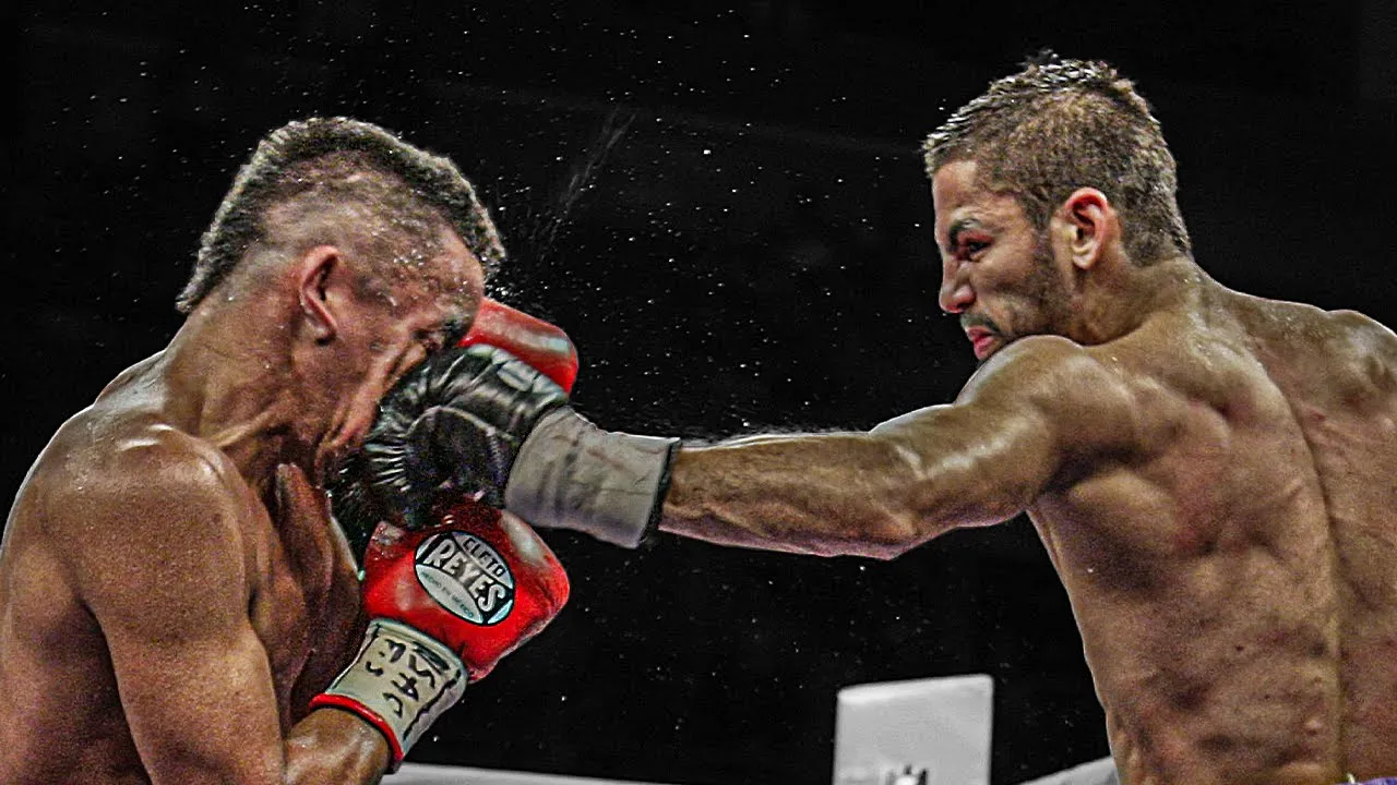 BOXING & MMA KNOCKOUTS background