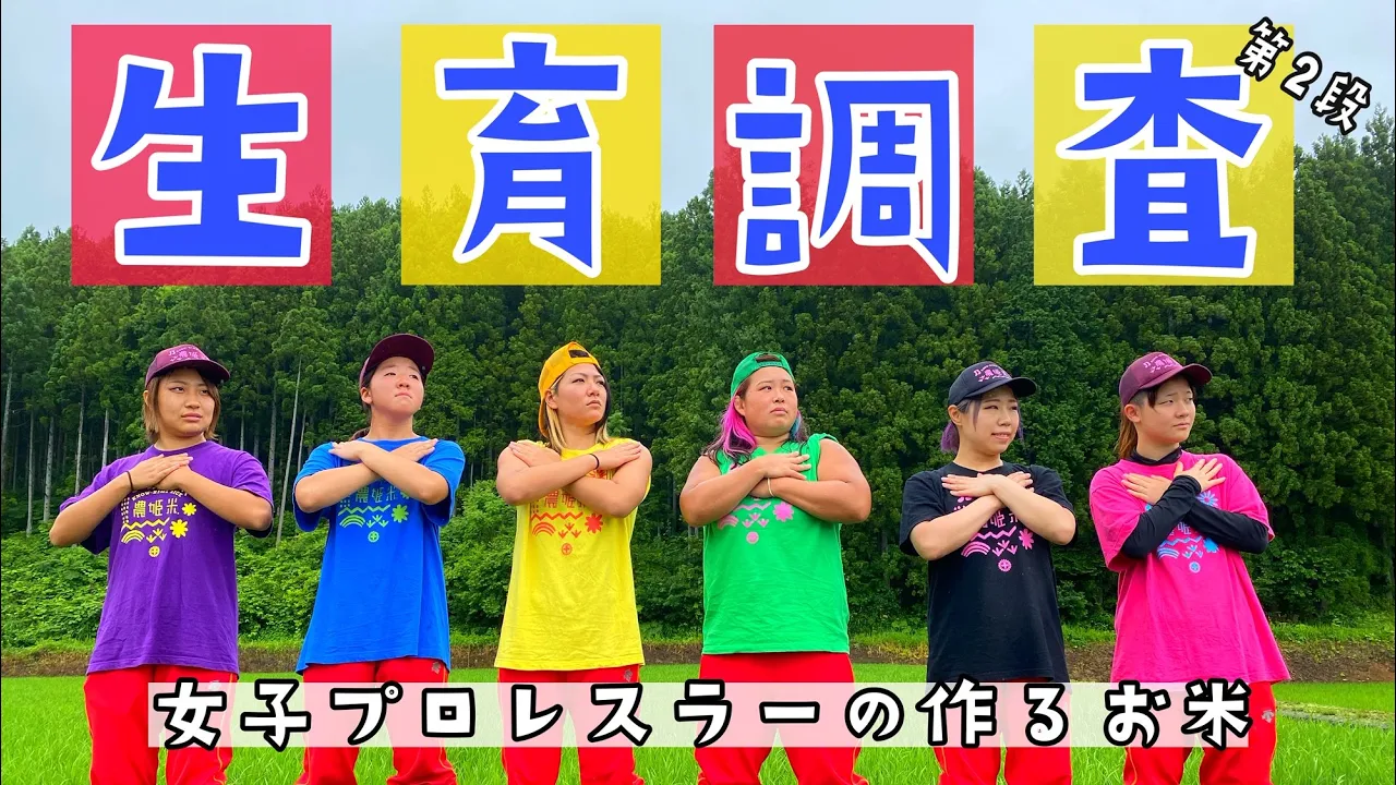 【調査】女子プロレスラーの作るお米を生育調査!第2段 background