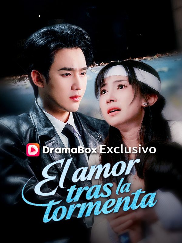 El amor tras la tormenta poster
