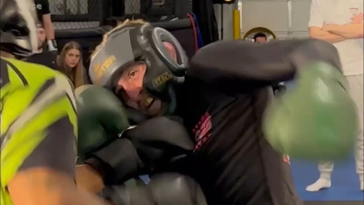 Point Boxing match. No knockouts. Sparring tournament.