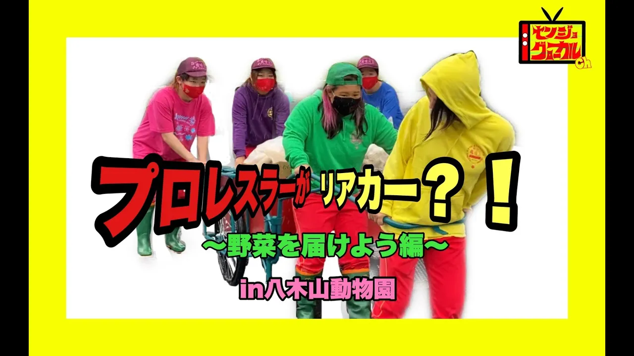 【プロレスラーがリアカー?!野菜を届けよう〜in八木山動物園】