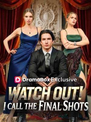 Watch Out! I Call the Final Shots - 123Movies