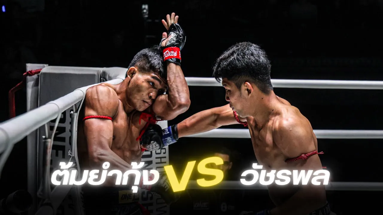 ต้มยำกุ้ง ภูมิใจไทย VS วัชรพล สิงห์มาวิน background