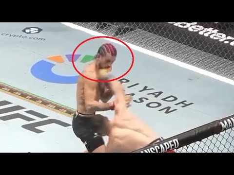 The Peak Performance State | Merab Dvalishvili