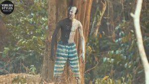 Ogo Dudu