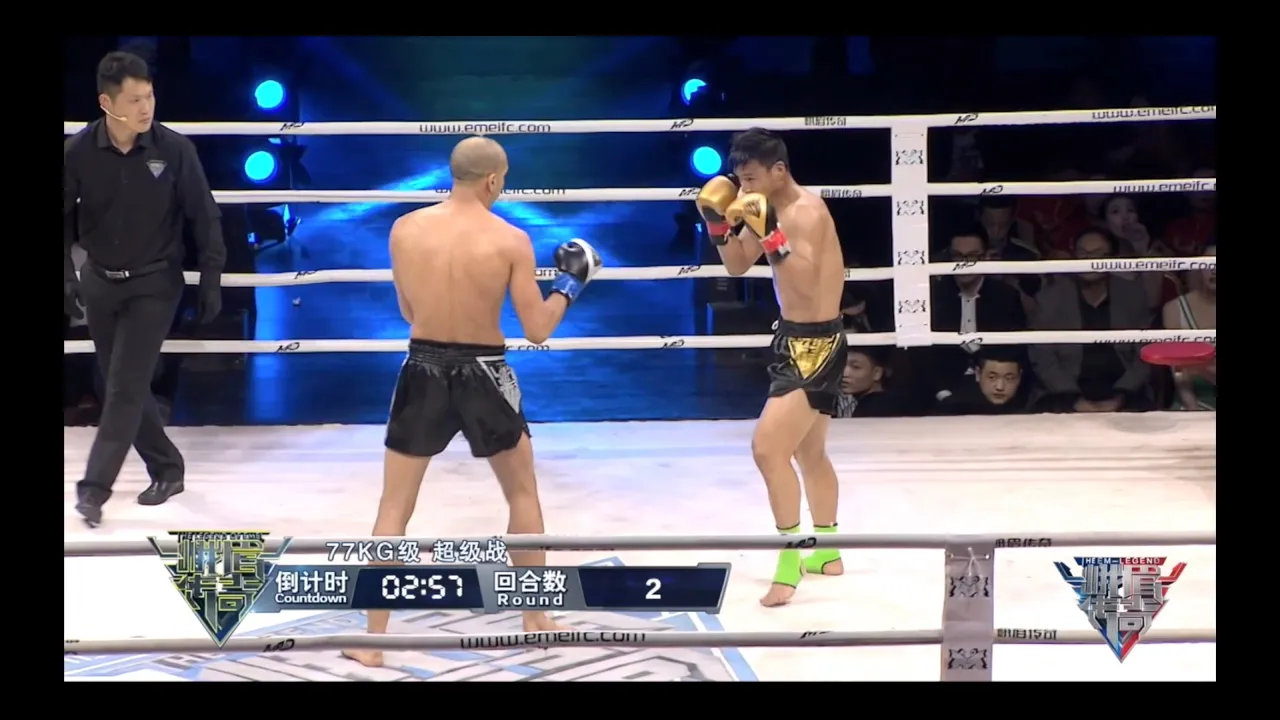 Mohamad Ghaedi vs Feng Lei | EM Legend Fight background