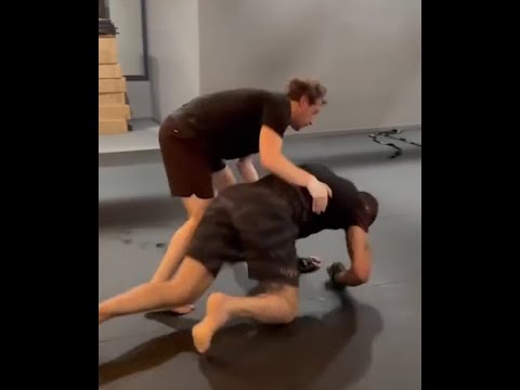 Alex Pereira Being A Chad VS Mark Zuckerberg