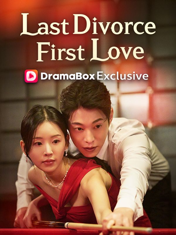 My Last Divorce, My First Love poster