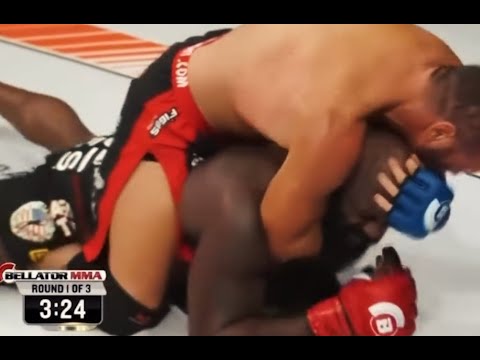 How Did Kimbo Slice Survive This...