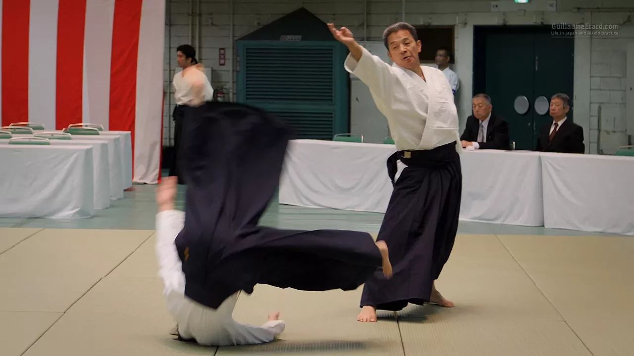 Aikido - Yasuno Masatoshi Shihan - 55th All Japan Aikido Demonstration 2017