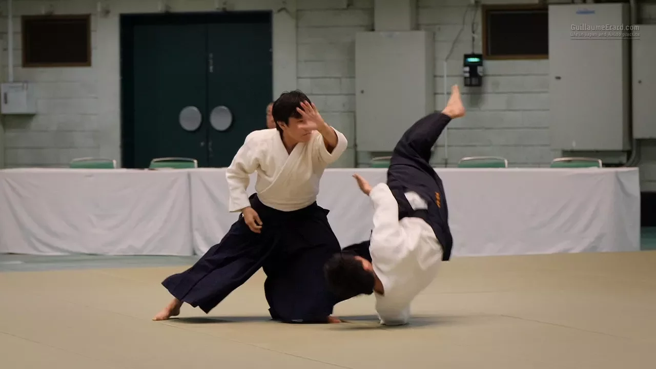 Aikido - Namba Hiroyuki - 55th All Japan Aikido Demonstration backdrop