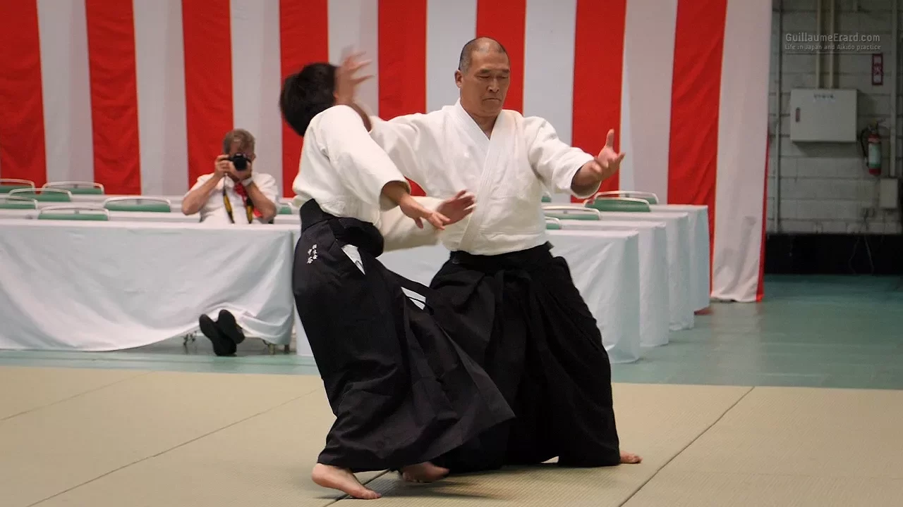 Aikido - Horii Etsuji Shihan - 55th All Japan Aikido Demonstration 2017 background