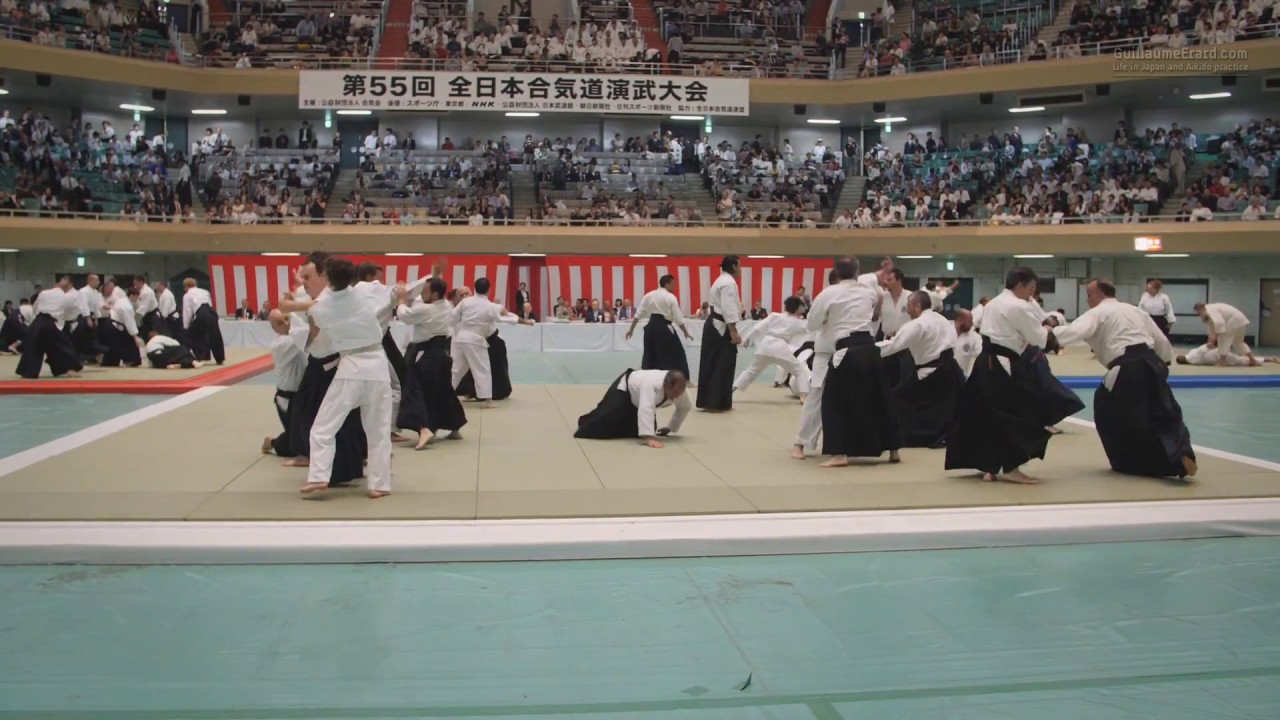 Argentina - 55th All Japan Aikido Demonstration 2017 background