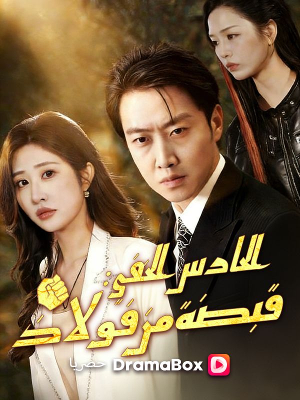 الحارس الخفي: قبضة من فولاذ (مدبلج) poster