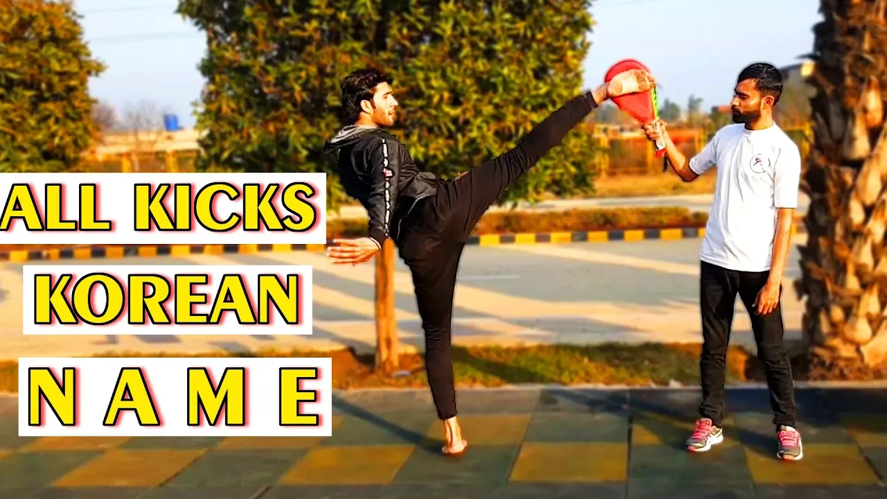 Taekwondo All kicks with Korean Name - Taekwondo Training