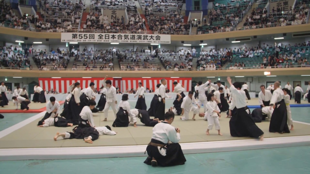 Aioikai - 55th All Japan Aikido Demonstration 2017 background