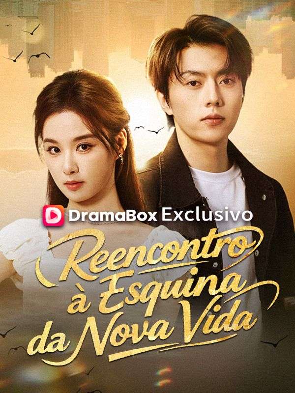 Reencontro à Esquina da Nova Vida poster