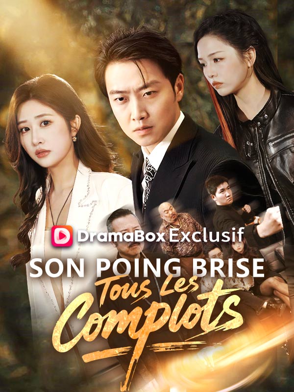 Son Poing Brise Tous Les Complots ( Doublé ) poster