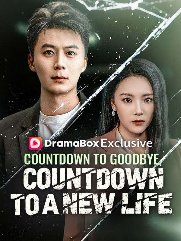 Countdown to Goodbye, Countdown to a New Life poster