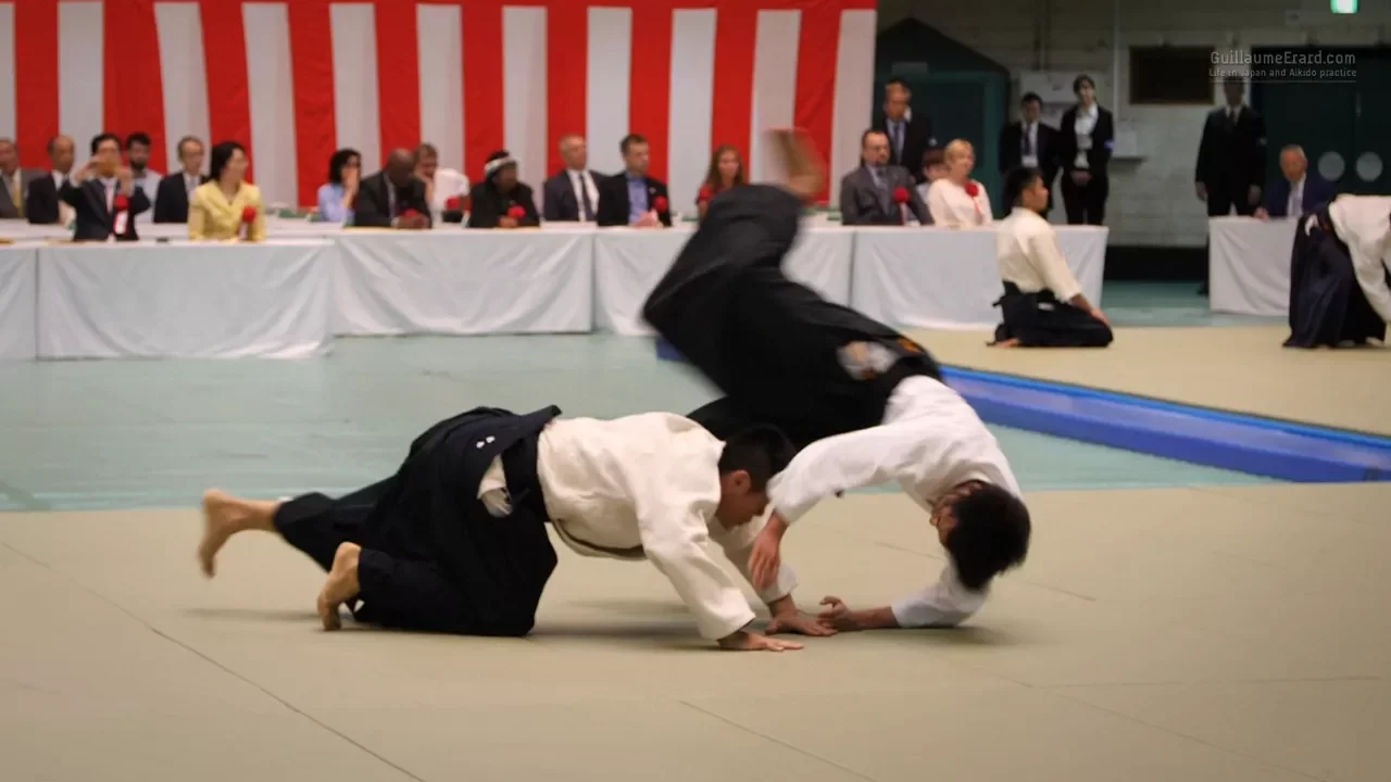 Aikido - Fujimaki Hiroshi Shihan - 55th All Japan Aikido Demonstration 2017 background