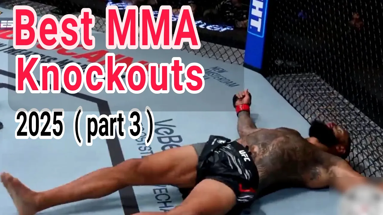 Best MMA knockout 2025 so far | part 1 background