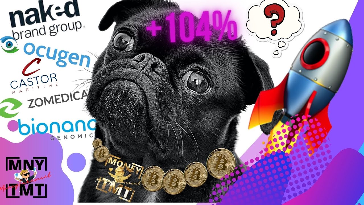 Ocugen Stock OCGN, Zomedica ZOM, Naked NAKD CTRM & BNGO soar this week | WSB GME Reddit, Stocktwitz?